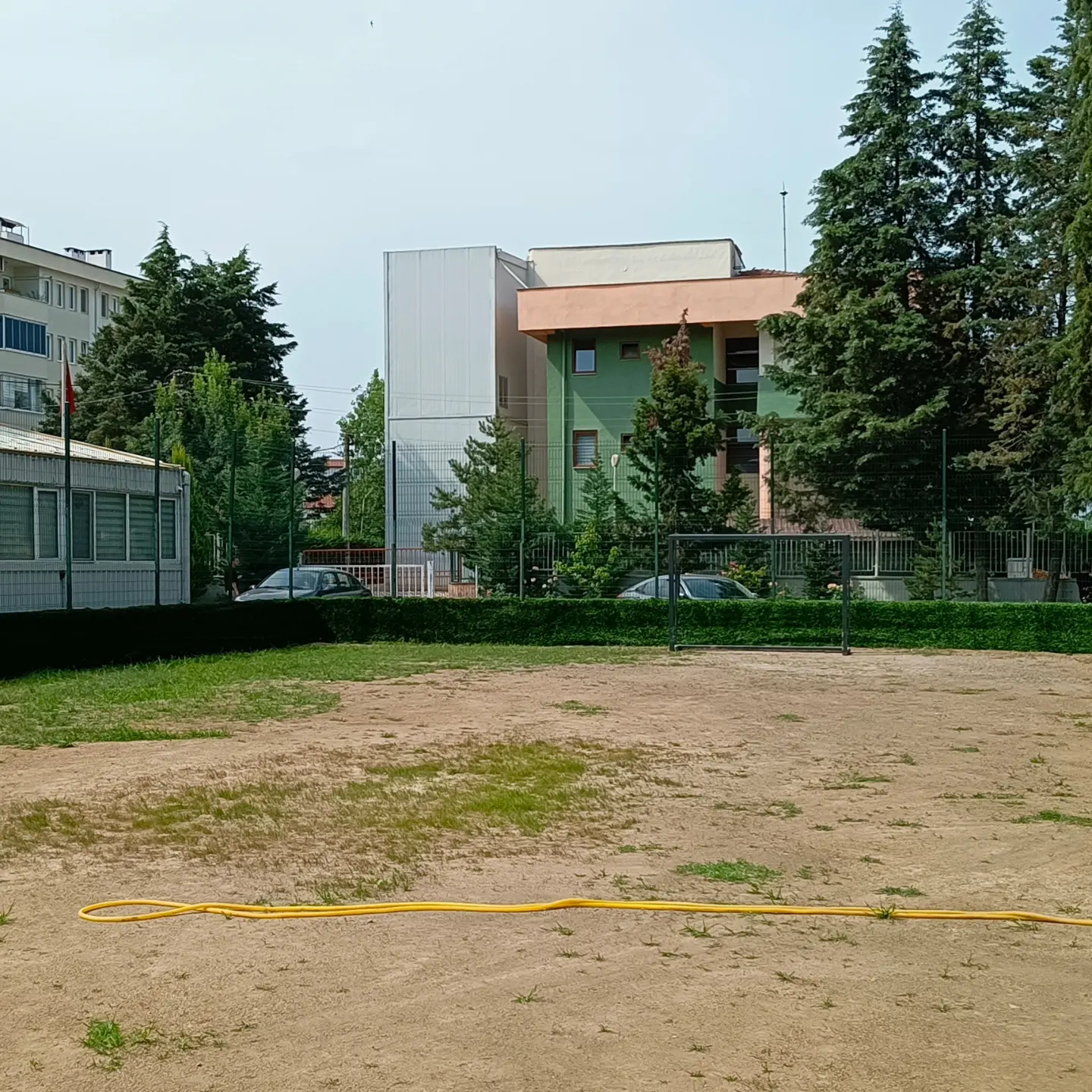 Fotoğraf