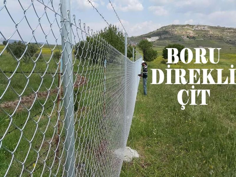 Fotoğraf
