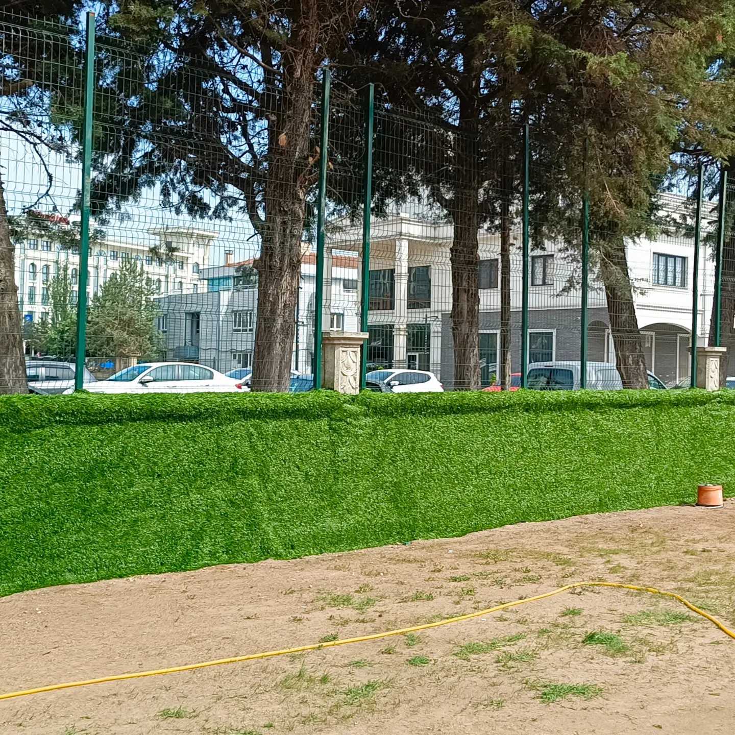 Fotoğraf