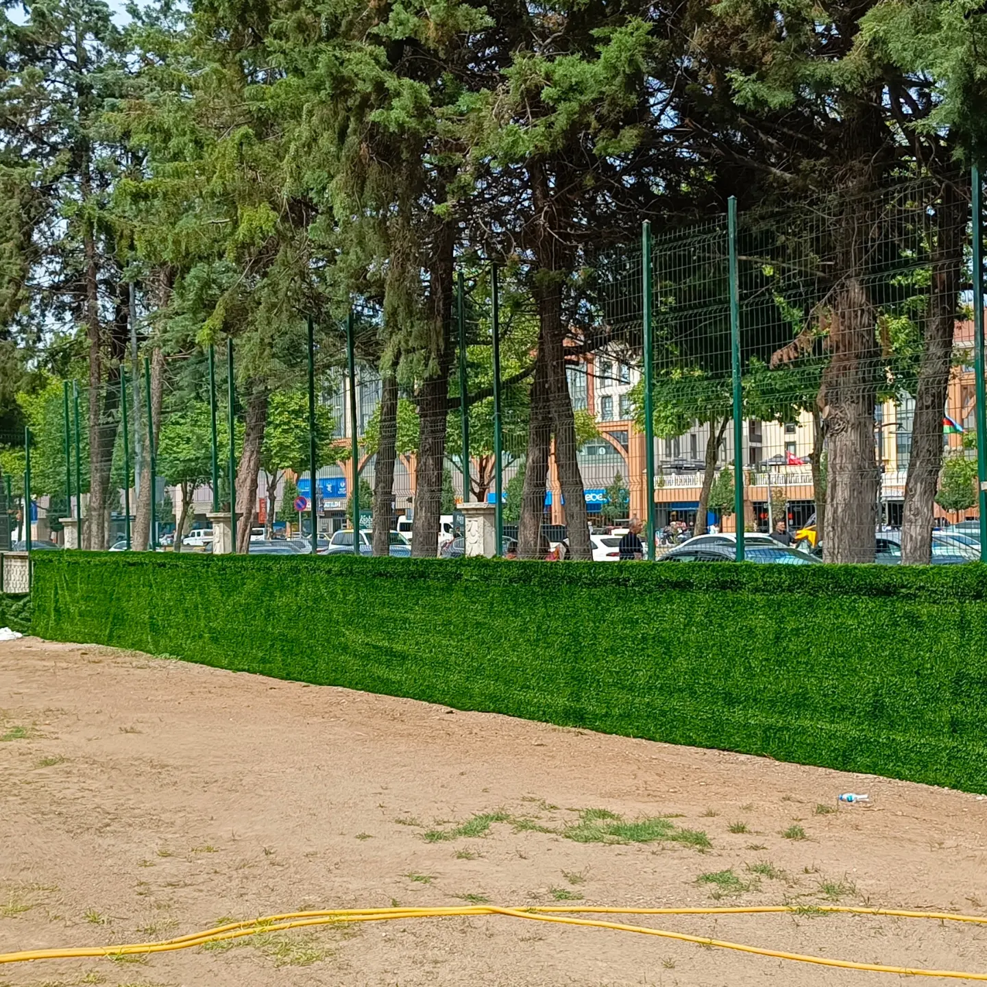 Fotoğraf