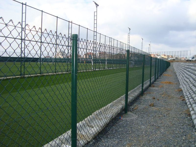 Fotoğraf